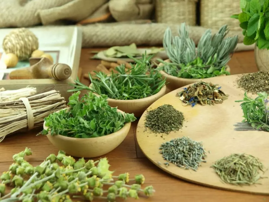 лекарственные травы на столе