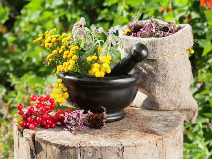 Травы в ступке на пне